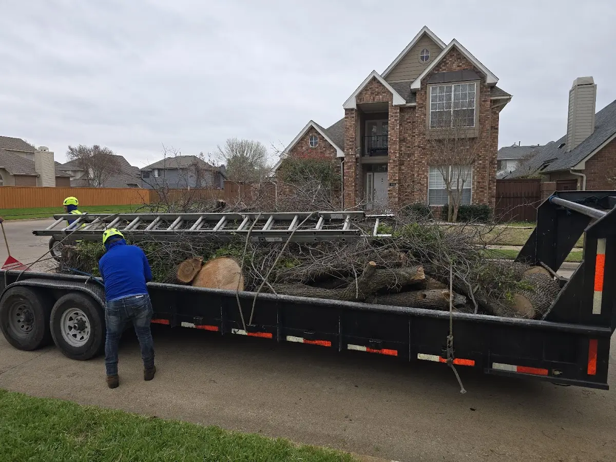 Expert Tree Fertilization with proper safety equipment in Volborg